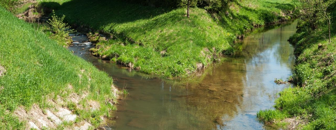 Crossover networks: essential for speakers to achieve a clear sound